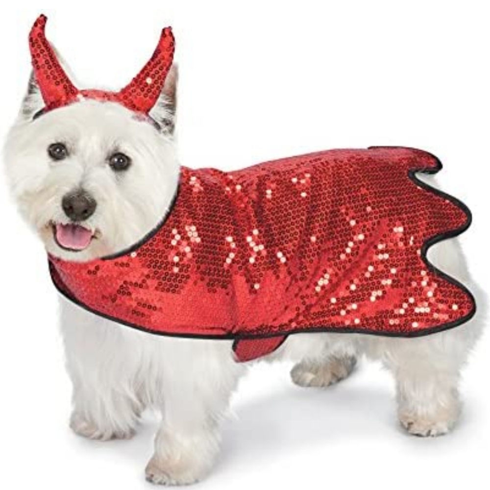 Zack & Zoey Dog Costume